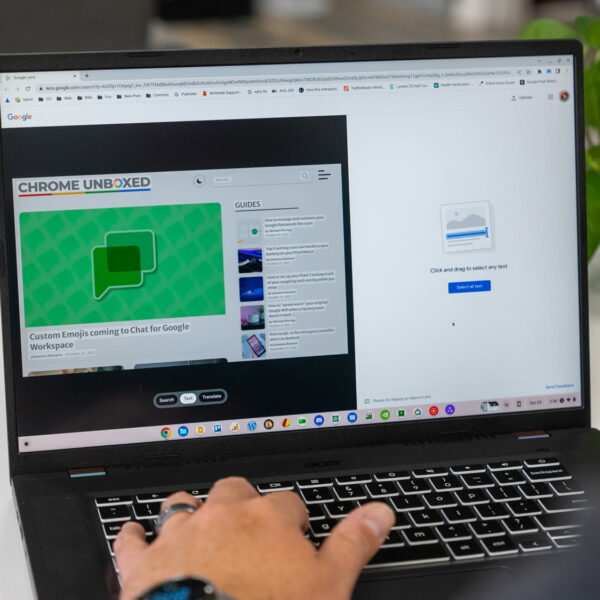3 Ways To Install Linux Packages On Your Chromebook – LEFMAT