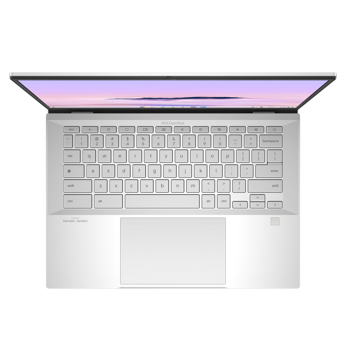 ASUS ExpertBook CX54 Chromebook Plus: new Chromebook king?